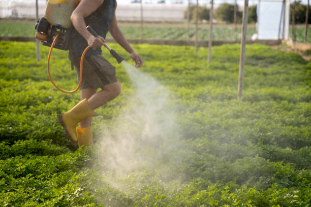 Professional Pest Control in Yoe, PA