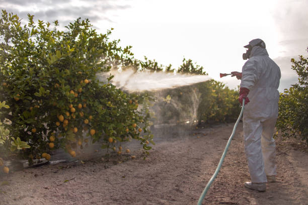 Best Best Pest Control Companies  in Yoe, PA