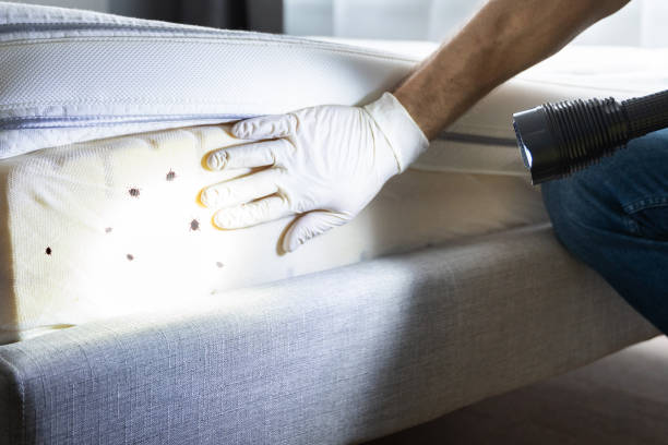Best Mosquito Control Services  in Yoe, PA