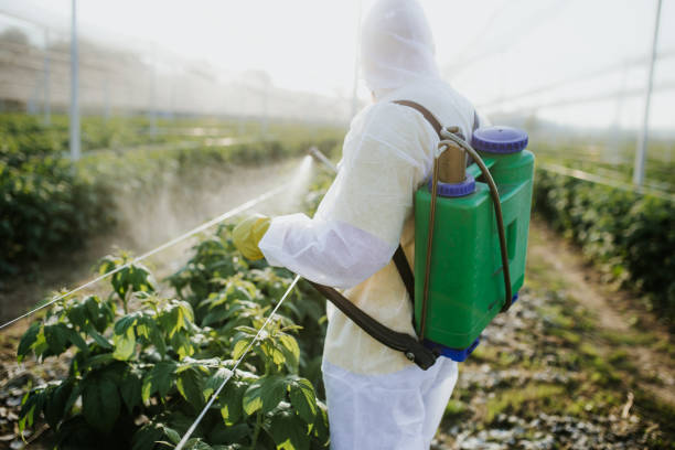 Best Affordable Pest Control Services  in Yoe, PA